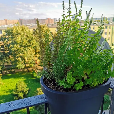 Jagiellonska Blisko Galeria Przymorze - Przymorze Apartment *