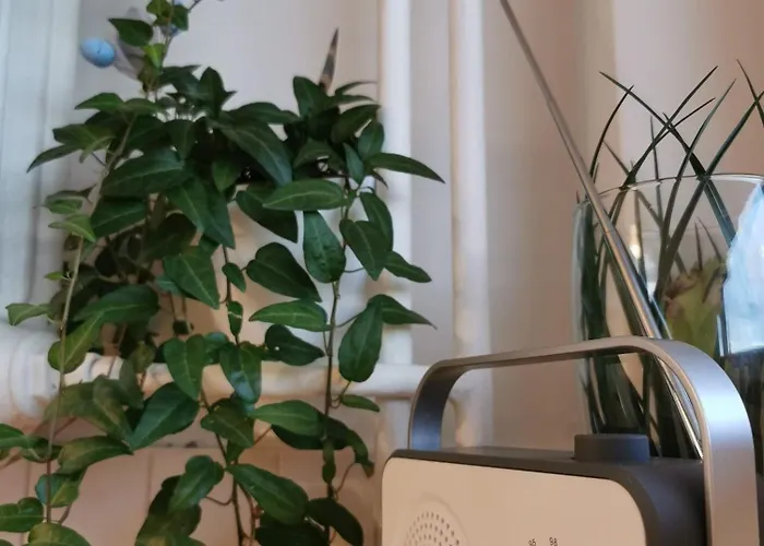 アパート Jagiellonska Blisko Galeria Przymorze - Przymorze グダニスク